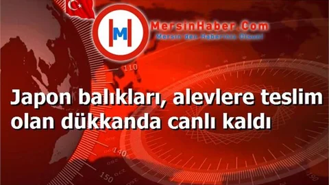 Japon balıkları, alevlere teslim olan dükkanda canlı kaldı