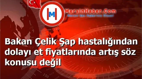 Bakan Çelik Şap hastalığından dolayı et fiyatlarında artış söz konusu değil