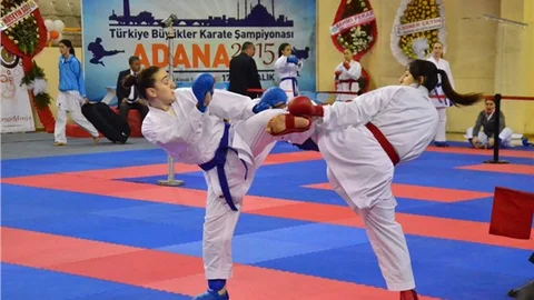 Türkiye Büyükler ve Veteranlar Karate Şampiyonası tamamlandı
