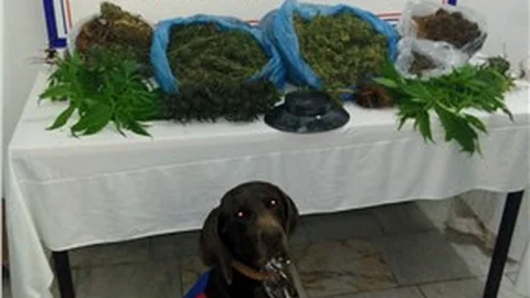 Köyceğiz’de uyuşturucu operasyonu