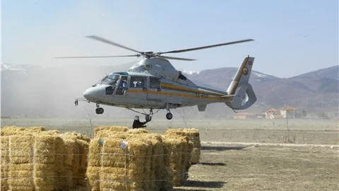 Kışın yaban hayatı için tabiata 558 kilo yem ve yiyecek bırakılacak