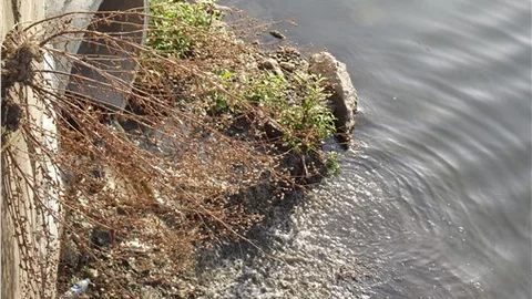 Yağmur suyu yerine lağım akıyor