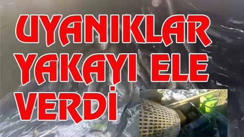 Mersin'de Kanalın Suyunu Boşaltıp Balık Avlayan Uyanıklar Yakalandı