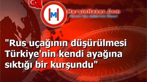 "Rus uçağının düşürülmesi Türkiye'nin kendi ayağına sıktığı bir kurşundu"