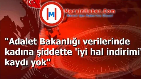 "Adalet Bakanlığı verilerinde kadına şiddette 'iyi hal indirimi' kaydı yok"