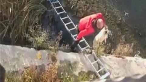 Çamura saplanan köpeği vatandaşlar kurtardı