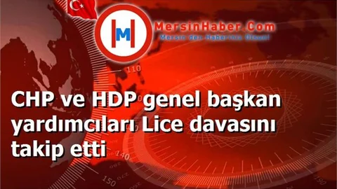 CHP ve HDP genel başkan yardımcıları Lice davasını takip etti
