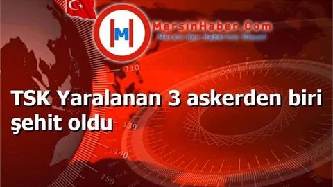 TSK Yaralanan 3 askerden biri şehit oldu