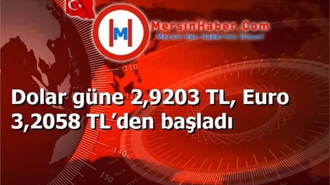 Dolar güne 2,9203 TL, Euro 3,2058 TL’den başladı