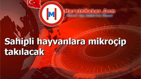 Sahipli hayvanlara mikroçip takılacak