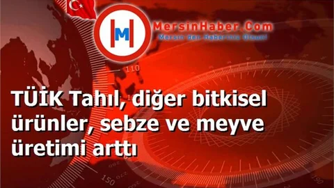 TÜİK Tahıl, diğer bitkisel ürünler, sebze ve meyve üretimi arttı