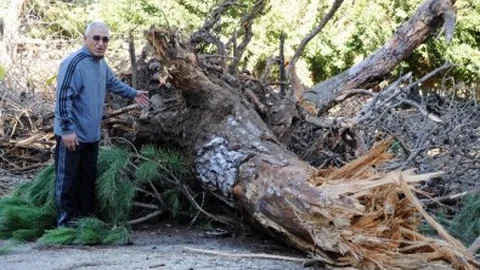 Mersin'de Fırtına Elektrik Hatlarını Kopardı