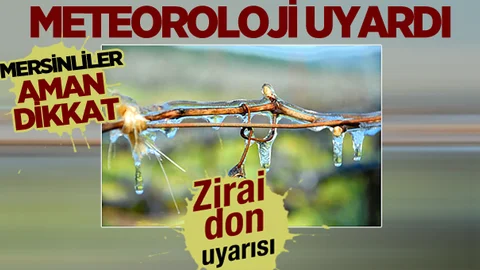 Doğu Akdeniz İçin Zirai Don Uyarısı