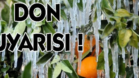 Akdeniz'de Zirai Don Uyarısı