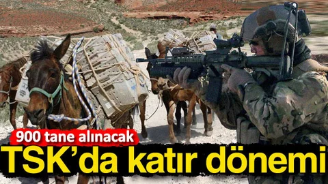 Orduda katır dönemi başlıyor