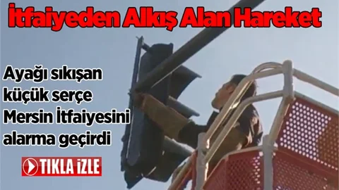 Ayağı Sıkışan Kuş, İtfaiyeyi Alarma Geçirdi