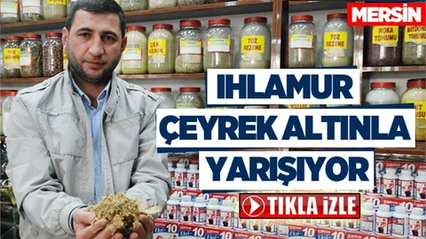 Ihlamur çeyrek altın ile yarışıyor