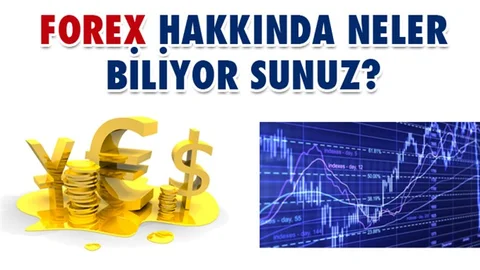 Forex Yatırım Danışmanlığı ve Forex Yatırım Hakkında Neler Biliyorsunuz?