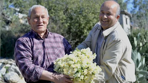 NERGİS ÜRETİCİSİNİN EMEKLERİ ÇİÇEK AÇTI