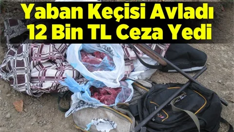 Yaban keçisi avlayana 12 bin TL ceza