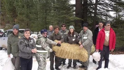 YABAN HAYVANLARI İÇİN DAĞLARA ÇIKTILAR