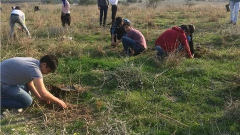 Fırat için ağaç diktiler
