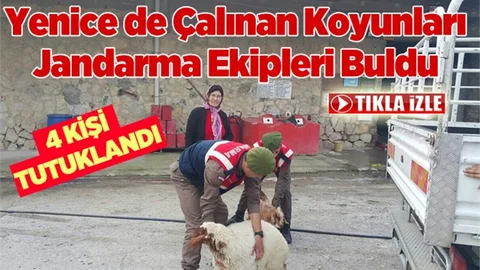 Yenice’de Hayvan Hırsızlığı Yapan Şüphelileri Yakalandı