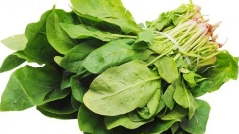 Tere Otu Ispanaktan Çok Daha Faydalıymış 