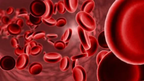 Hemofili Hastalığı Hakkında Bilinmeyenler! Hemofili Hastalığı Nedir Belirtileri Nelerdir