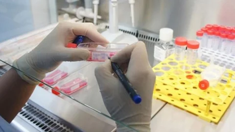 Türkiye'de Her 16 Kişiden Biri Bu Hastalığa Yakalanıyor