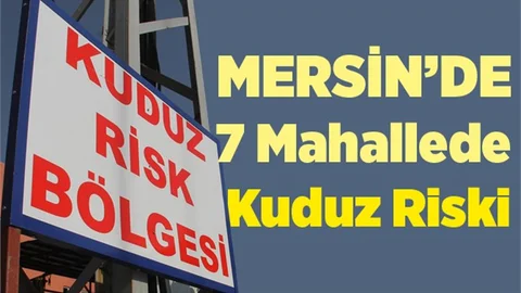 Tarsus’ta 7 Mahallede Kuduz Riski