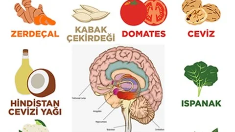 Hafızayı Güçlendirme Yolları