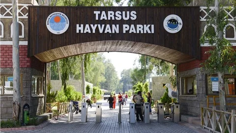 Sıcaklıkların Gelmesiyle Tarsus Hayvan Parkı Ziyaretçileri de Çoğaldı