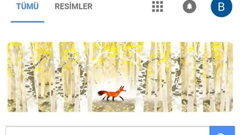 Google "Dünya Günü" İçin özel Doodleler Hazırladı