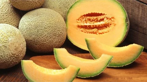 Mersin İlkleri Üretmeye Devam Ediyor