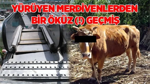 Yürüyen Merdivenlere Zarar Verildi