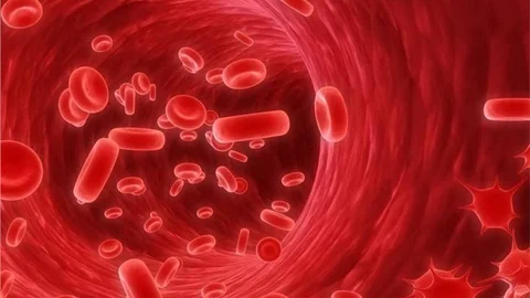 Kanser Hastaları Bu Hastalığı Yenenlerle Biraraya Geldi!