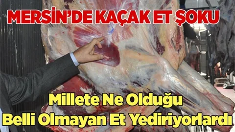 Mersin'de 301 kilogram kaçak et ele geçirildi 