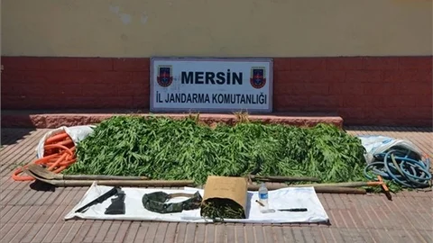 Mersin Anamur Ala Köprü Uyuşturucu Operasyonu