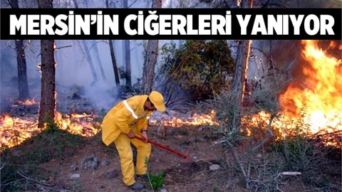 Silifke'de Orman Yangını