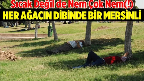 Mersinliler ağaç gölgesinde serinlenmeye çalıştı
