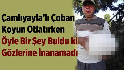 Koyun otlatırken dev bir mantar buldu