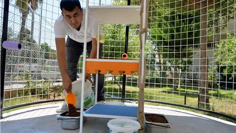 40 NOKTAYA DAHA KEDİ SIĞINMA EVİ