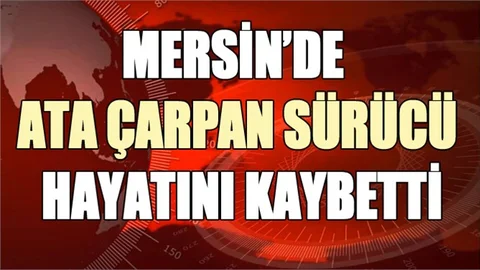  Ata çarpan motosikletin sürücüsü Yunus Çoban hayatını kaybetti