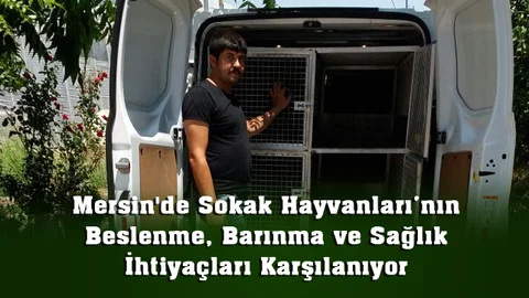 Mersin'de Sokak Hayvanları’nın Beslenme, Barınma ve Sağlık İhtiyaçları Karşılanıyor