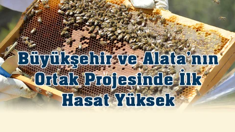 Mersin Büyükşehir ile Alata Bahçe Araştırma Ortak Bal Arısı Kovanı Projesi Başarısı