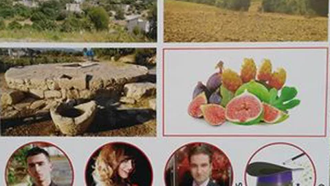 Mersin Tarsus Göçük Köyünde 1. İncir Şöleni