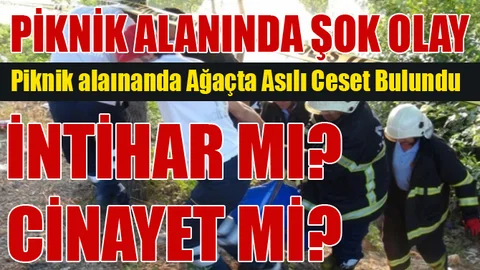 Piknik Alanında Ağaçta Asılı Ceset Bulundu