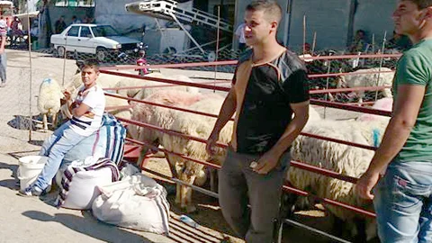 TARSUS’TA KURBANLIKLAR GELMEYE BAŞLADI