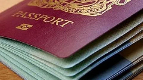 Hızlı şekilde vize nasıl alınır?